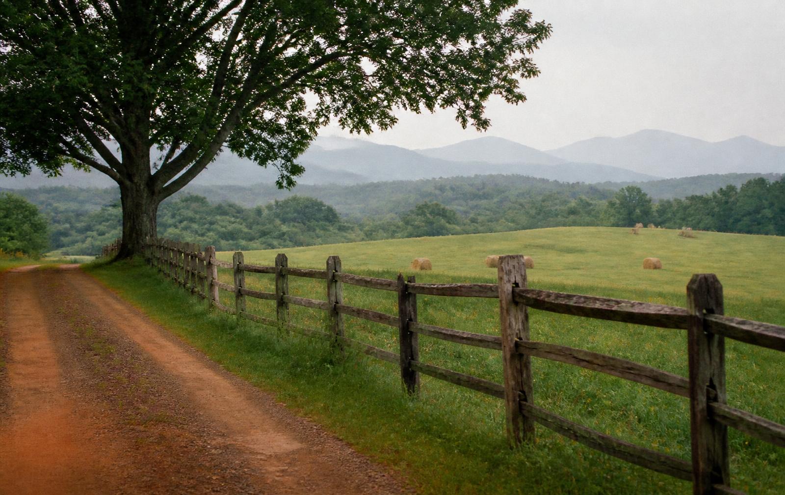 Rolling Virginia farmland and timber in the Piedmont countryside